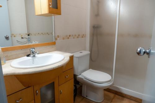 a bathroom with a toilet and a sink and a shower at Apartamento Everest parque natural Coma Pedrosa in La Massana