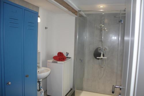 ein Bad mit einer Dusche und einem Waschbecken in der Unterkunft The Blue House in Erlangen