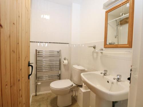 ein Badezimmer mit einem WC, einem Waschbecken und einem Spiegel in der Unterkunft Byre Cottage 4 in Pulborough