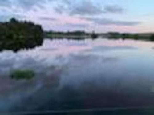 a view of a body of water with trees and clouds at The Hidden Gem in Galloway Forrest in Balminnoch