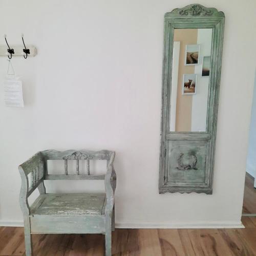 a chair in a room with a mirror at Familienhof Müritz in Klein Plasten