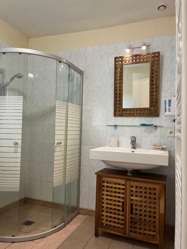 a bathroom with a sink and a glass shower at Chambres d’hôtes en campagne 