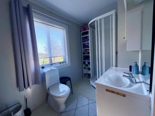 uma casa de banho com um WC, um lavatório e uma janela em Wildlife Panorama Lofoten em Bøstad