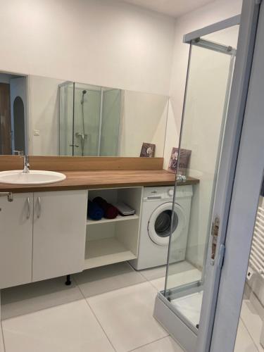 une salle de bain avec un lavabo et une machine à laver dans l'établissement Le p'tit mandarinier, à Canet d'Aude