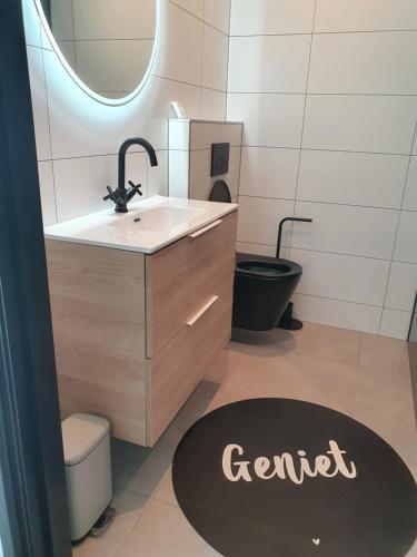 een badkamer met een wastafel, een toilet en een spiegel bij Hippe Schuur in Tietjerk