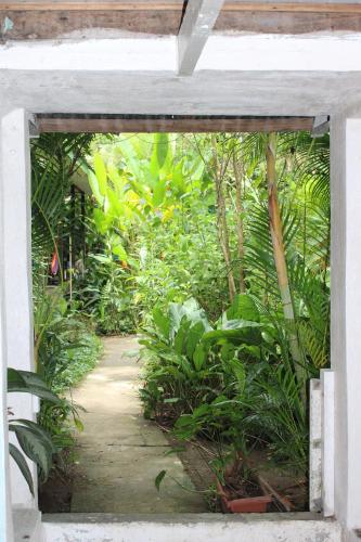 Giardino di Cabinas Tortuguero