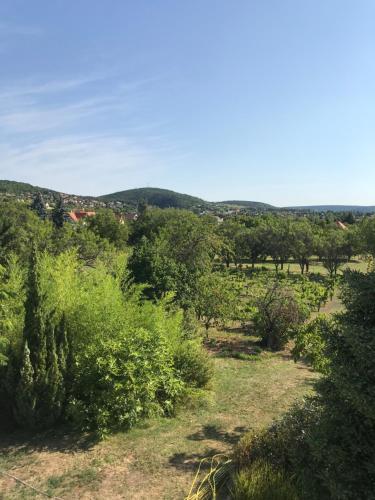 uma vista para um campo com árvores e arbustos em Nádaskúti ház em Csopak