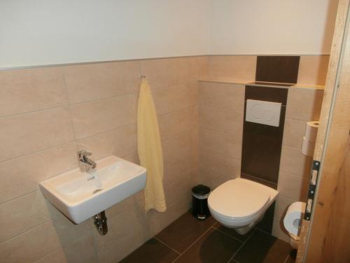a bathroom with a sink and a toilet at Appartementhaus Gretzel in Wagrain