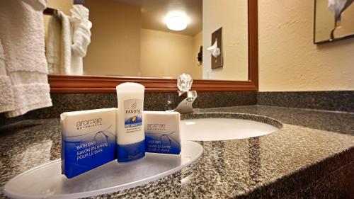 a bathroom with a sink with a bottle of soap on it at Best Western Luxbury Inn Fort Wayne in Fort Wayne