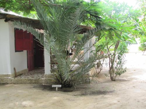 Aed väljaspool majutusasutust Bazouk Du Saloum Ecolodge Solidaire