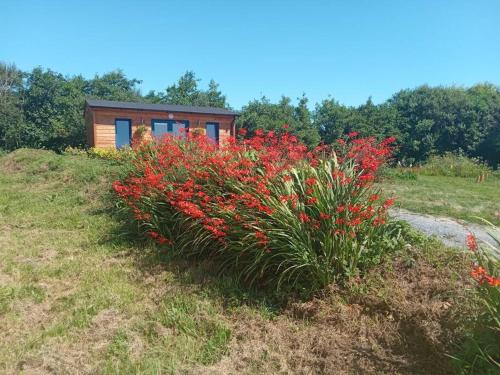 a house on top of a hill with red flowers at Ceaser's cabin is a cosy 1 bedroom cabin in Lahinch