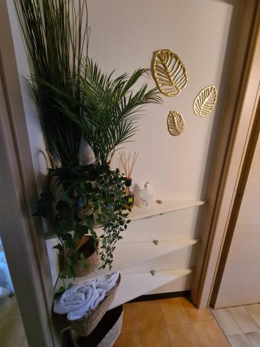 een trap met planten en planten in een kamer bij Terrazza vicino al mare in Rimini