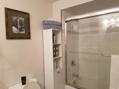 La salle de bains est pourvue d'une douche en verre et de toilettes. dans l'établissement Cozy Grimsby Suite w/ hot tub & high-speed wifi, à Grimsby