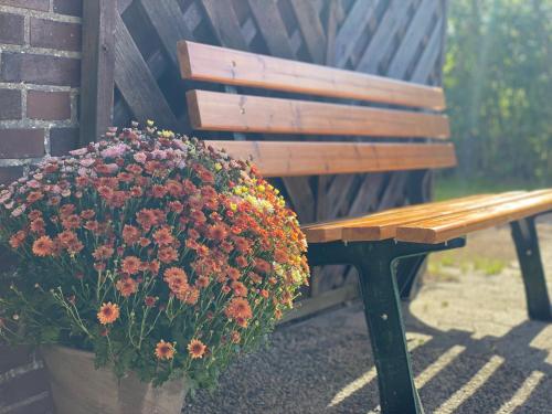 a wooden bench with a potted plant next to it at FRIESENHÜTTE NORDDEICH in Norddeich