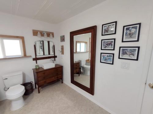 a bathroom with a mirror and a toilet and a sink at Cozy Cottage in Miramonte