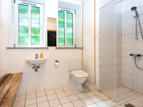 a bathroom with a toilet and a sink and a shower at 16 person holiday home in Skjern-By Traum in Skjern