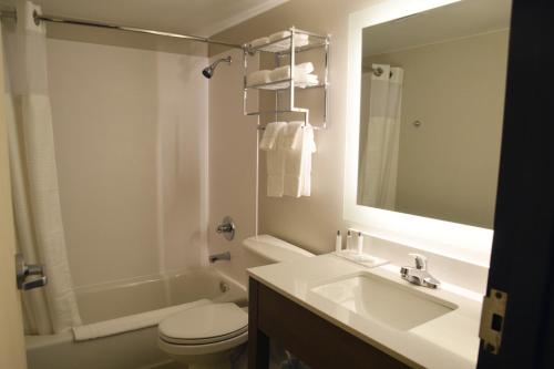 a bathroom with a sink and a toilet and a mirror at Fun City Resort Hotel in Burlington