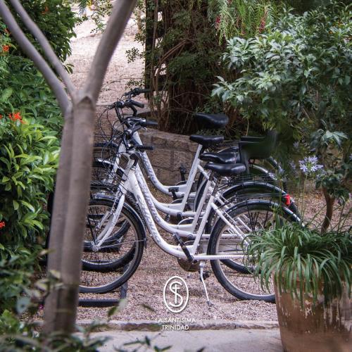 La Santísima Trinidad – Photos 3