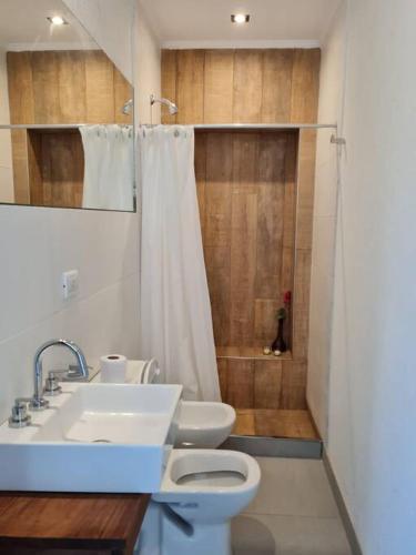 a bathroom with a sink and a toilet and a shower at Lechuza Bolivar in San Antonio de Areco