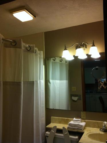 a bathroom with a shower curtain and a sink and a mirror at East Street Inn & Suites in Tipton