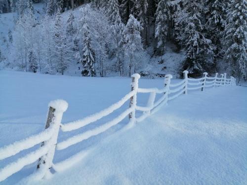 a white fence covered in snow next to trees at Apartment ZIRMWEBER-Haus in Sankt Johann im Pongau