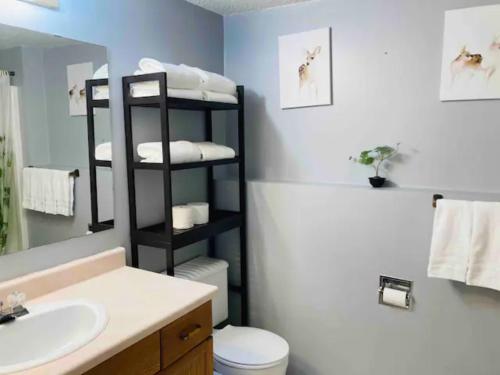 a bathroom with a toilet and a sink and a mirror at Sweet 5 bedrooms single house in Hinton in Hinton
