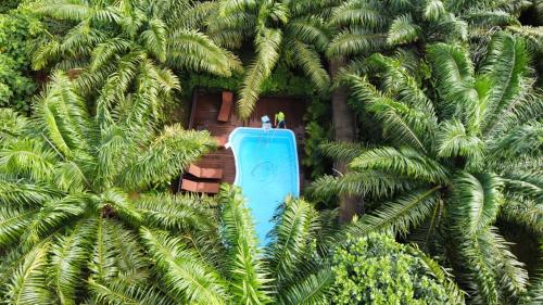 two people standing in front of a building with palm trees at Khaosok Good view Resort - SHA PLUS in Khao Sok National Park