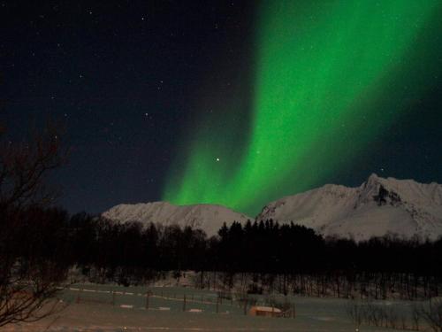an aurora in the sky over a snow covered mountain at 10 person holiday home in Lyngseidet in Lyngseidet