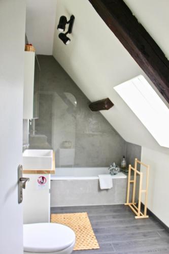 une salle de bain avec toilettes et baignoire dans l'établissement Superbe appartement duplex à Kaysersberg en Alsace, à Kaysersberg
