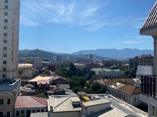 a view of a city with mountains in the background at boulevard apartments in Batumi