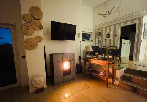 a living room with a fireplace and a television at Eifelhäuschen am See in Biersdorf