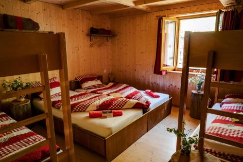 a bedroom with two bunk beds and a window at Rifugio Alpe San Romerio in Brusio