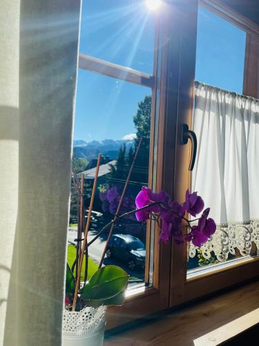 a window with purple flowers on a window sill at Apartament Kalina-Mocarni in Kościelisko