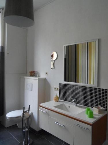 ein Badezimmer mit einem Waschbecken, einem WC und einem Spiegel in der Unterkunft LOGIES The city jester - Ieper centrum in Ypern