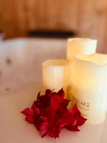 a couple of candles and a red flower on a table at Chalet Breithorn- Perfect for Holiday with Amazing View! in Obergesteln