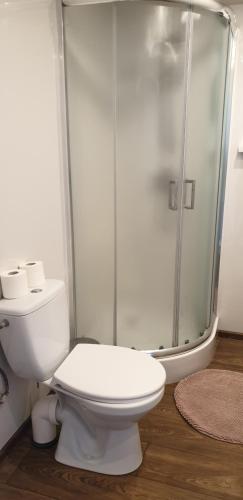 a bathroom with a white toilet and a shower at Wilimy Domek przy plaży jeziora Dadaj in Biskupiec