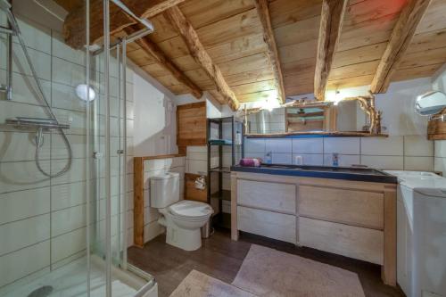 een badkamer met een toilet, een wastafel en een douche bij L'Echappée en Vercors in Choranche