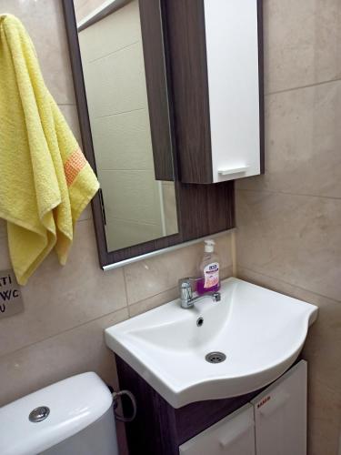 Un baño de Kuca za odmor RADMILA - Rogljevacke pivnice