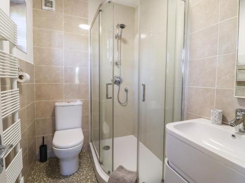 a bathroom with a shower and a toilet and a sink at Honeybee Cottage in Ripon