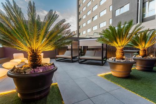 a patio with three large pots with palm trees in it at HF Fénix Porto in Porto