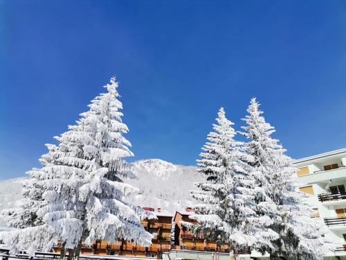 L'établissement Hotel Hermitage en hiver