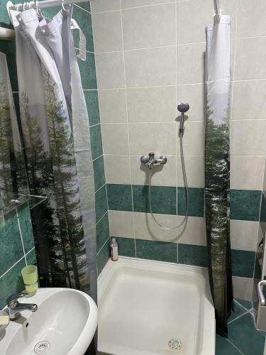uma casa de banho com uma banheira, um lavatório e um chuveiro em Vert Cozy Apartment Free Parking em Novi Sad