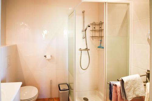 ein Bad mit einer Dusche und einem WC in der Unterkunft La Françonne Blanc - Gîte de charme en Provence in Mirabel-aux-Baronnies