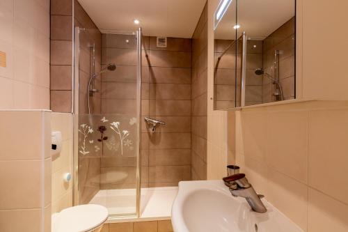 托農萊班的住宿－Appartement 2p au Belvédère，带淋浴、盥洗盆和卫生间的浴室