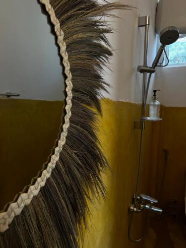 a bathroom with a large hose hanging from a wall at Equalia Rose Hotel in Jambiani