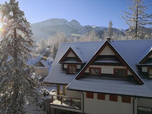 Willa Nika, Apartamenty