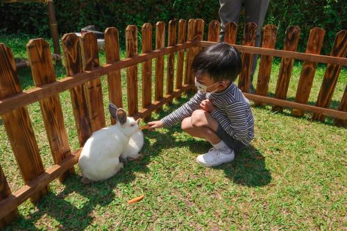 a young child petting a white rabbit in a fence at InterContinental Bandung Dago Pakar by IHG in Bandung