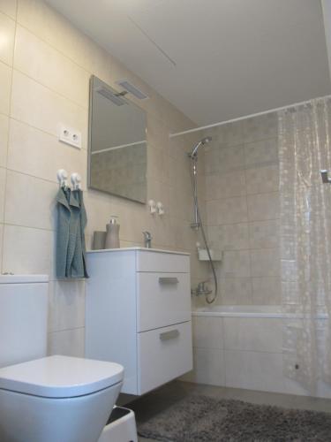 a bathroom with a white toilet and a shower at Family Apartment in Vilanova i la Geltrú