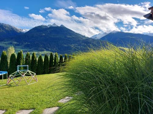 a view of a field with mountains in the background at Apartment Lochner Piesendorf-Walchen in Piesendorf