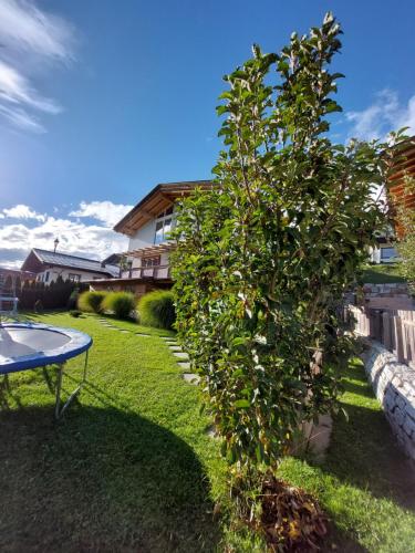 a tree in a yard next to a table at Apartment Lochner Piesendorf-Walchen in Piesendorf